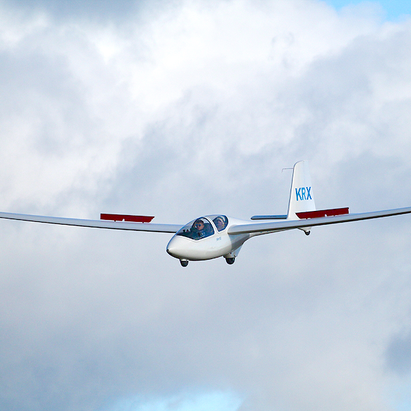 Harriet bee sales essex glider